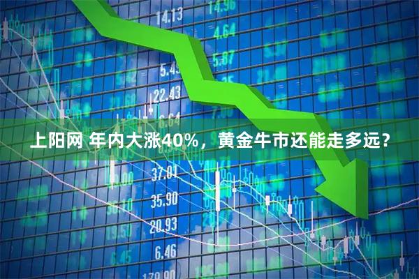 上阳网 年内大涨40%，黄金牛市还能走多远？